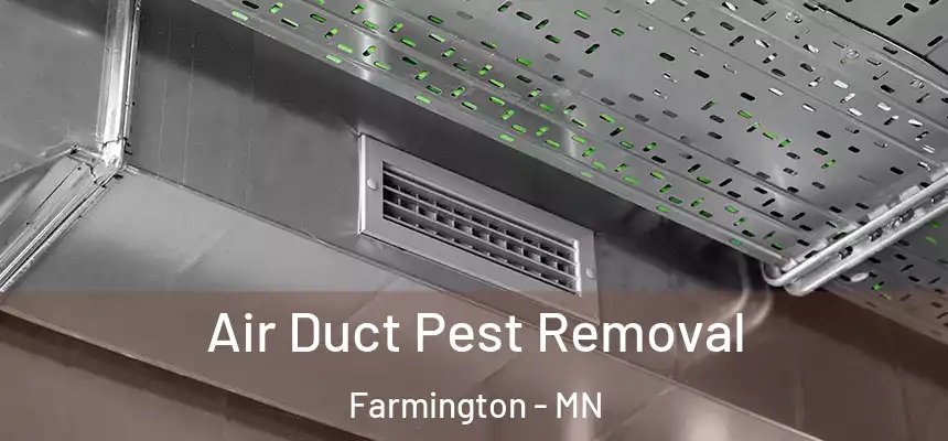  Air Duct Pest Removal Farmington - MN