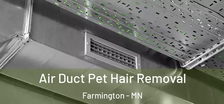  Air Duct Pet Hair Removal Farmington - MN