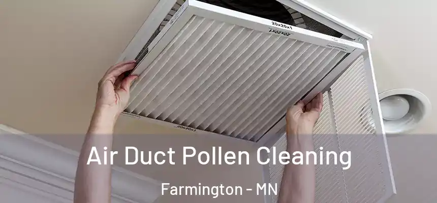 Air Duct Pollen Cleaning Farmington - MN