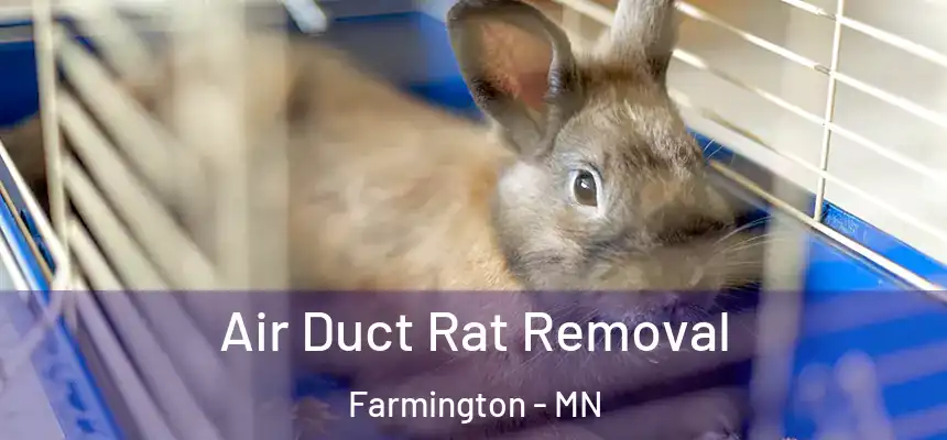  Air Duct Rat Removal Farmington - MN