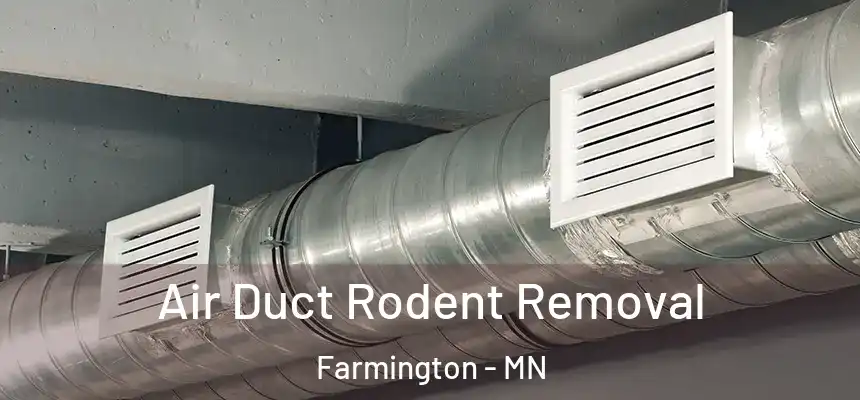  Air Duct Rodent Removal Farmington - MN