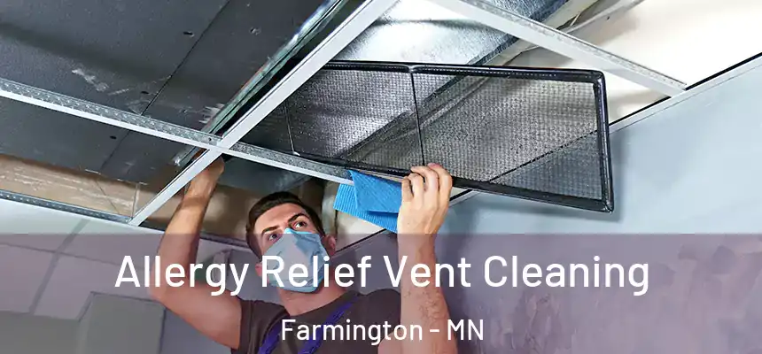 Allergy Relief Vent Cleaning Farmington - MN