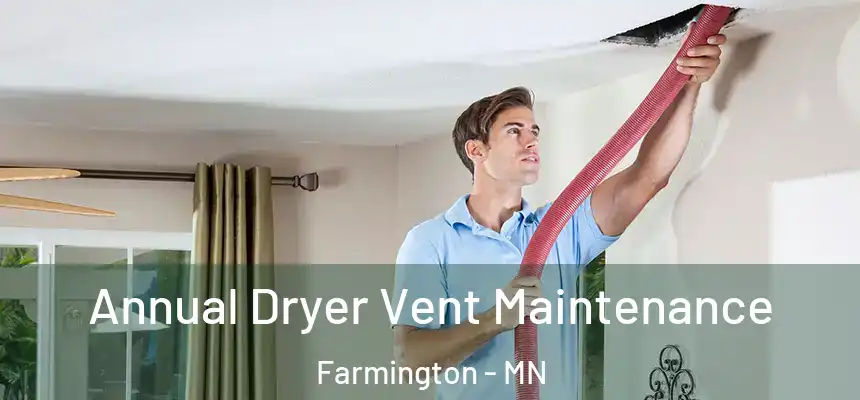  Annual Dryer Vent Maintenance Farmington - MN