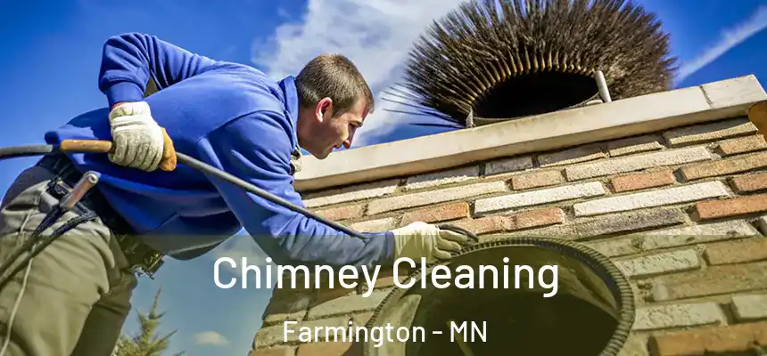  Chimney Cleaning Farmington - MN