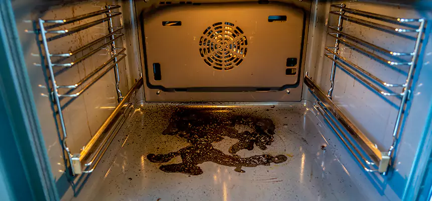 Our Dryer Vent Mold Cleaning Services in Farmington, MN