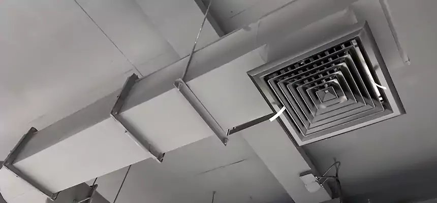 Our Pest Removal From Ducts Services in Farmington, MN