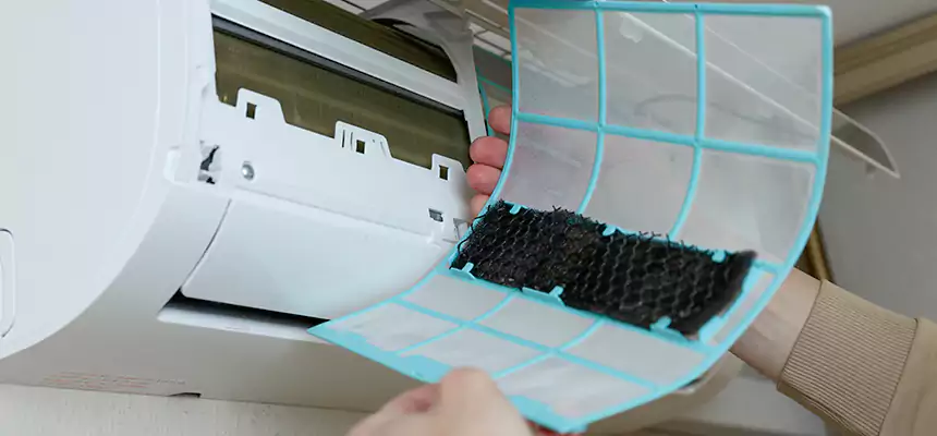 Gentle Ductwork Odor-Control Pet Dander Duct Cleaning in Farmington, MN