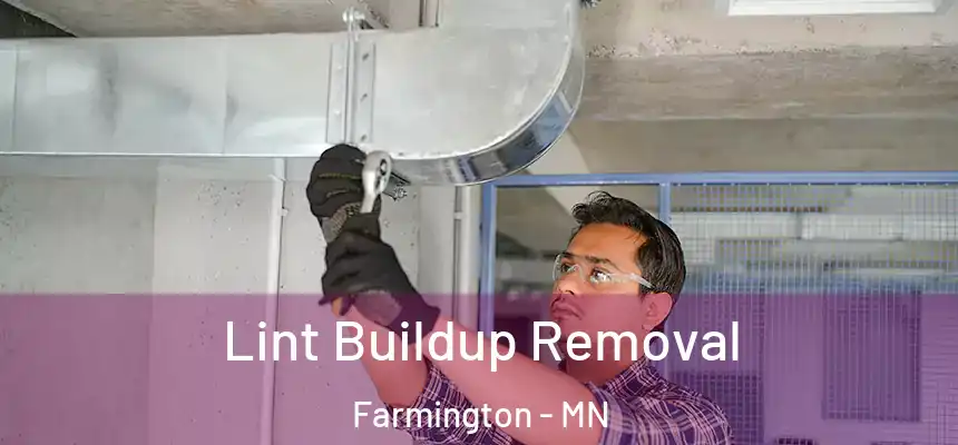 Lint Buildup Removal Farmington - MN