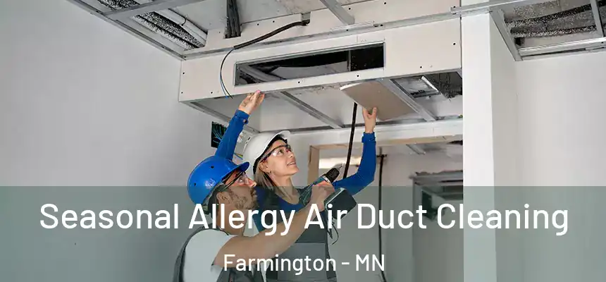  Seasonal Allergy Air Duct Cleaning Farmington - MN