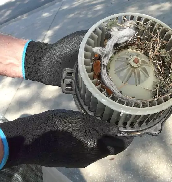 About Air Duct Rat Removal in Farmington, MN