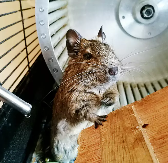 Why Homeowners & Businesses Trust Us Farmington, MN