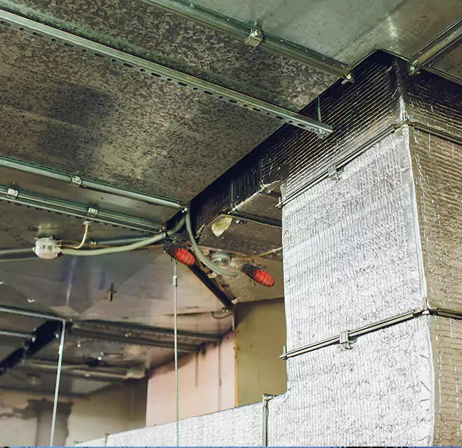 Why Homeowners & Businesses Trust Us Farmington, MN?